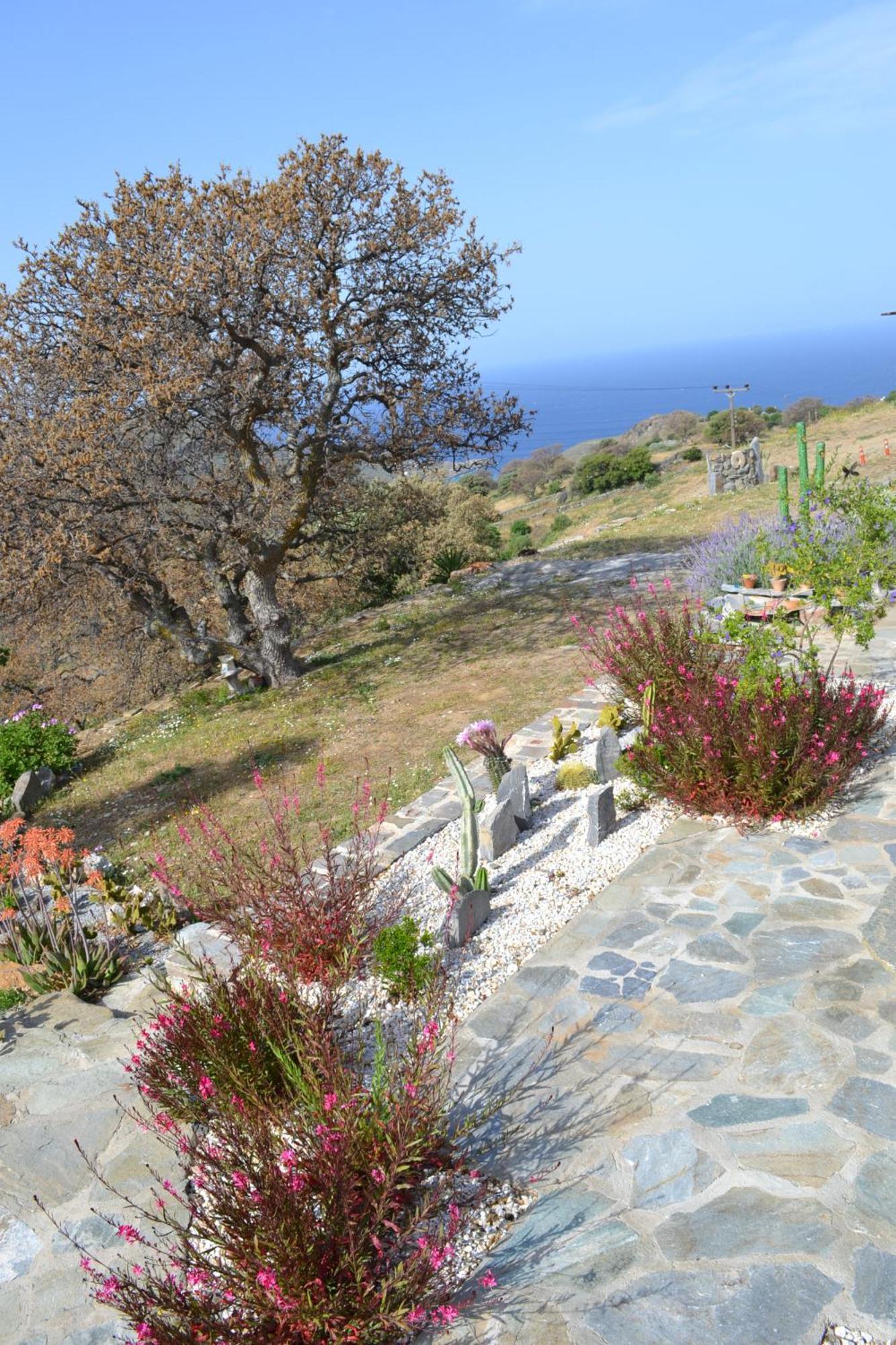 Rural Guest House, Quiet Stay In Nature With Sea View Chavouna מראה חיצוני תמונה