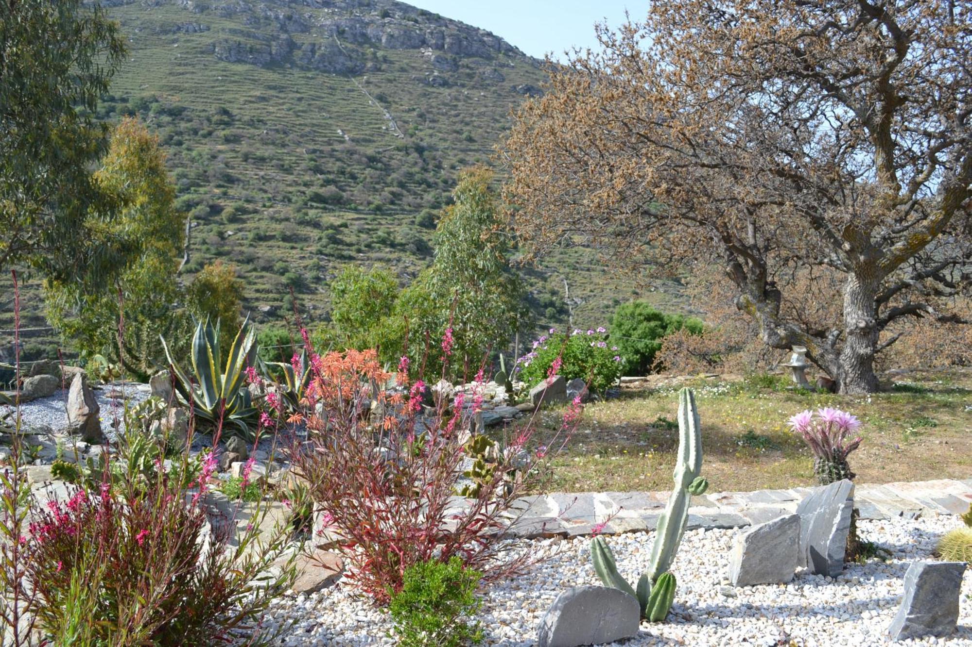 Rural Guest House, Quiet Stay In Nature With Sea View Chavouna מראה חיצוני תמונה